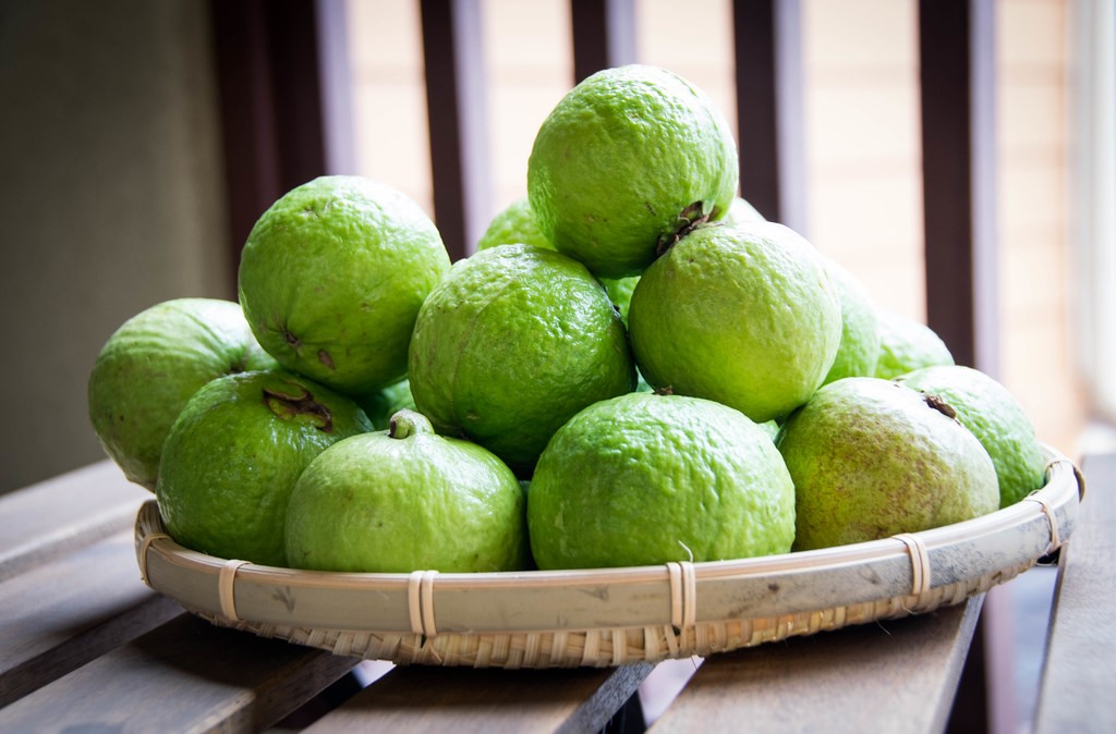 Most Common Fast Growing Fruit Bearing Trees in the Philippines