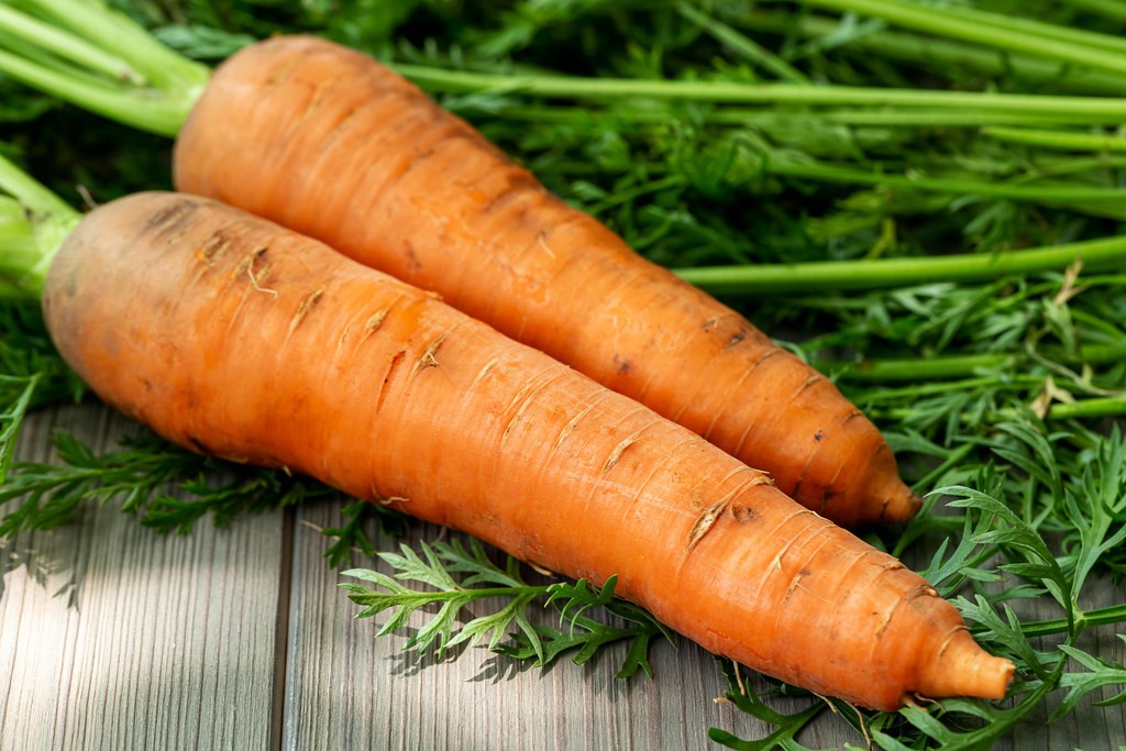 Carrots