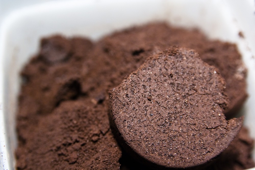 Homemade Fertilizer for Fruit Trees