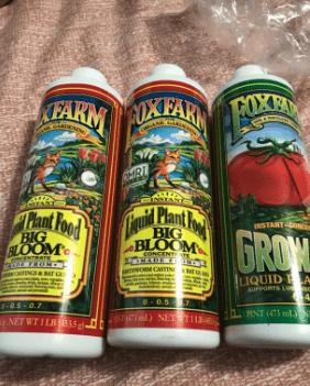 What Fertilizer to Use to Make Fruit Sweet