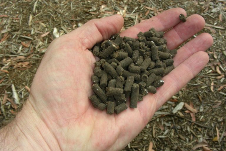 What Fertilizer to Use to Make Fruit Sweet
