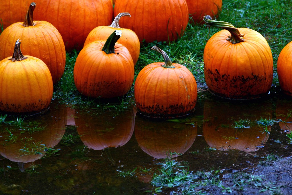 Pumpkins