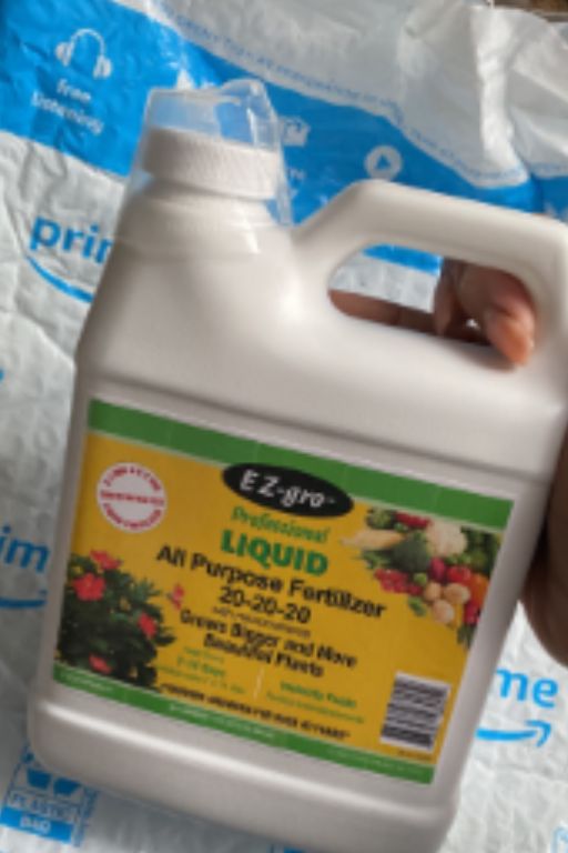 What Fertilizer to Use to Make Fruit Sweet