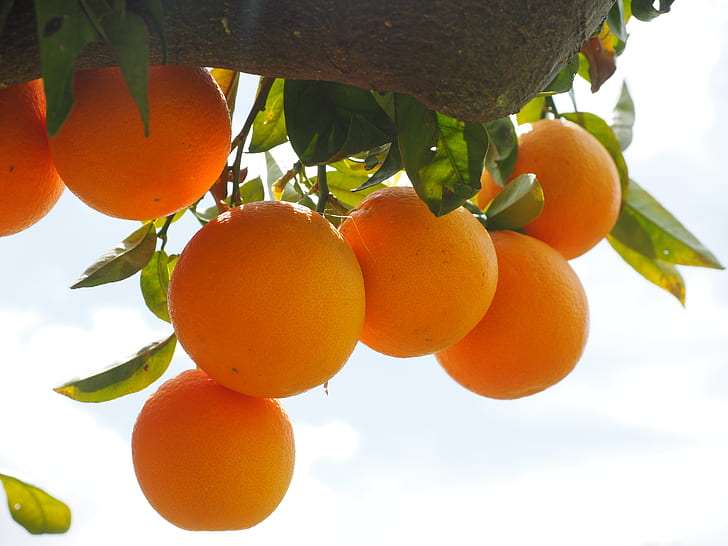What Fertilizer to Use to Make Fruit Sweet