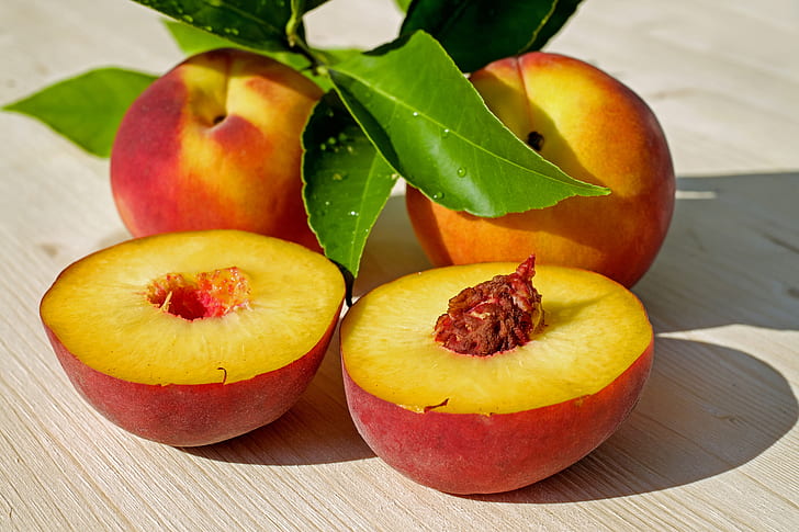 easy fruits to grow in florida