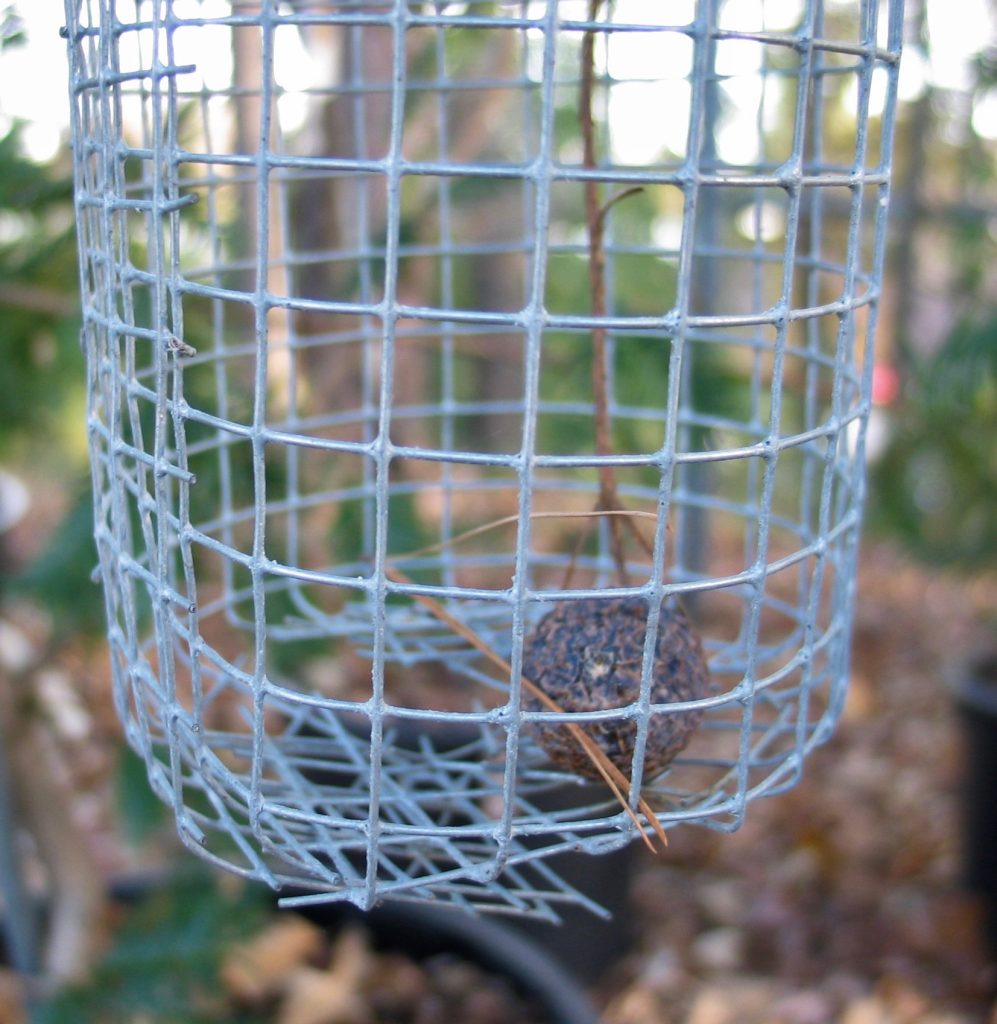 Compost Storage Ideas