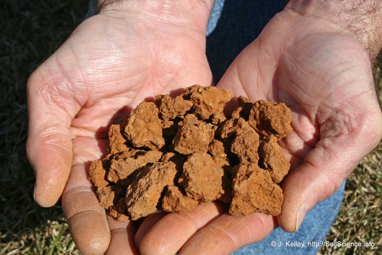best soil for apple trees
