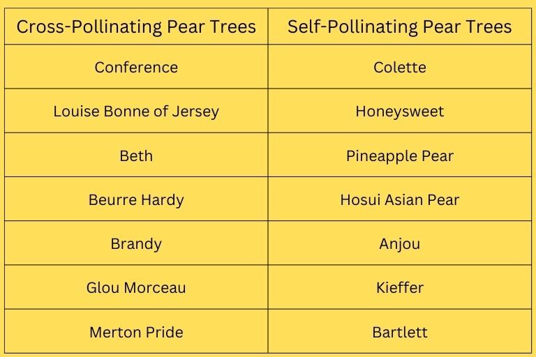 Can Apple Trees Pollinate Pear Trees 2 Cross-Pollinating Chart for Pear Trees