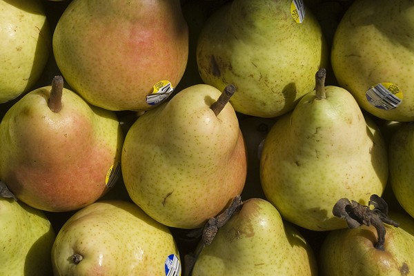 best fruit trees to grow in victoria
