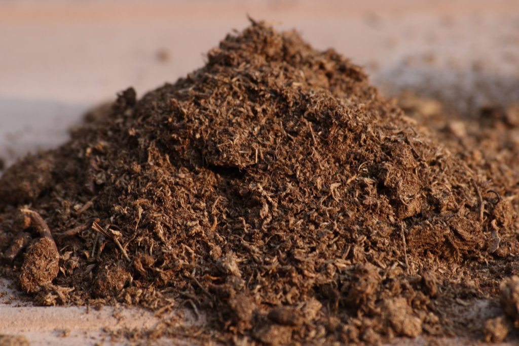 best soil for apple trees