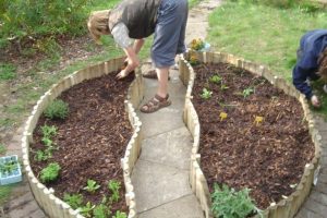 5 Methods of Planting Fruit Trees - The Complete Guide 4 5 Methods of Planting Fruit Trees