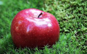 Can Apple Trees Grow in South Florida - 6 Varieties Thrive Easily 4 Red Delicious Apple