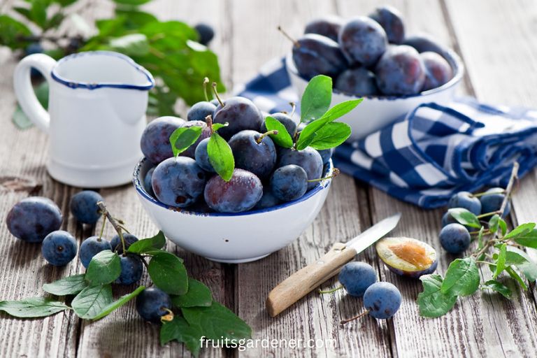 8 Best and Easiest Fruit Trees That Grow In South Georgia 9 fruit trees that grow in South Georgia