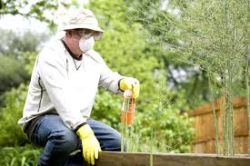 How Fast Do Honeycrisp Apple Trees Grow 8 Fertilize your Honeycrisp apple tree