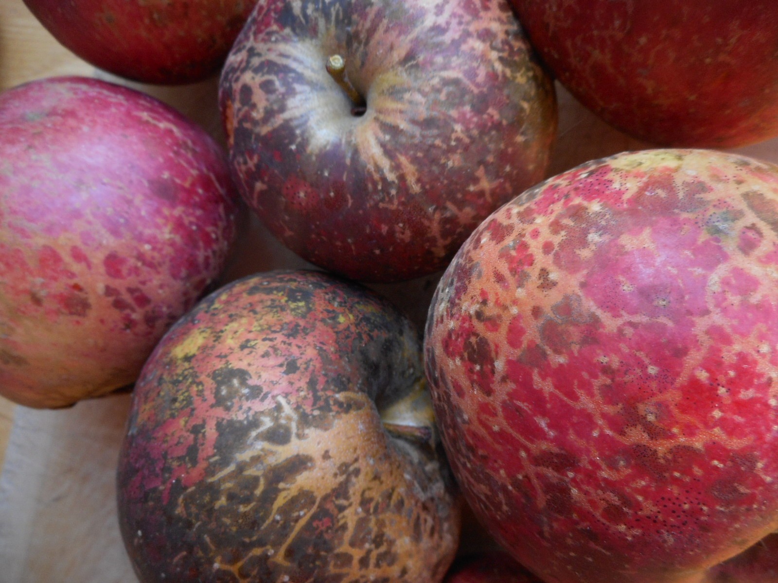 How to Treat Apple Tree Diseases