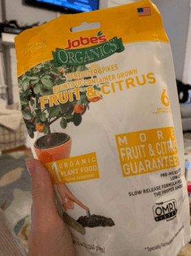 When Do Honeycrisp Apple Trees Flower and Produce Fruits 3 Jobe's Organics Fruit & Citrus Fertilizer Spikes