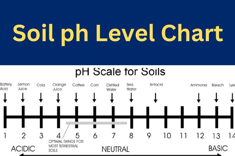 How to Find The Best Soil for Honeycrisp Apple Tree 3 Soil ph level chart