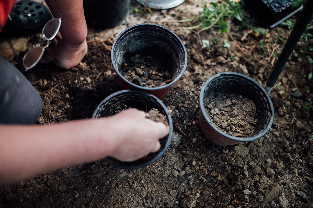 Cheap Plastic Pots for Plants