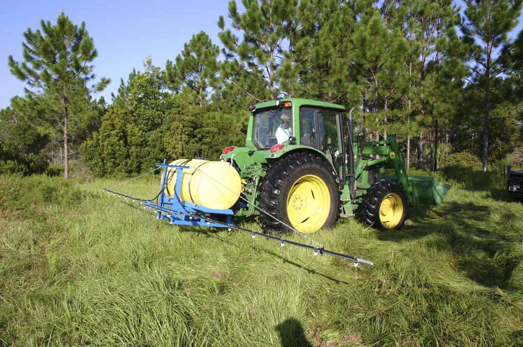 How to Get Rid of Grass Without Digging