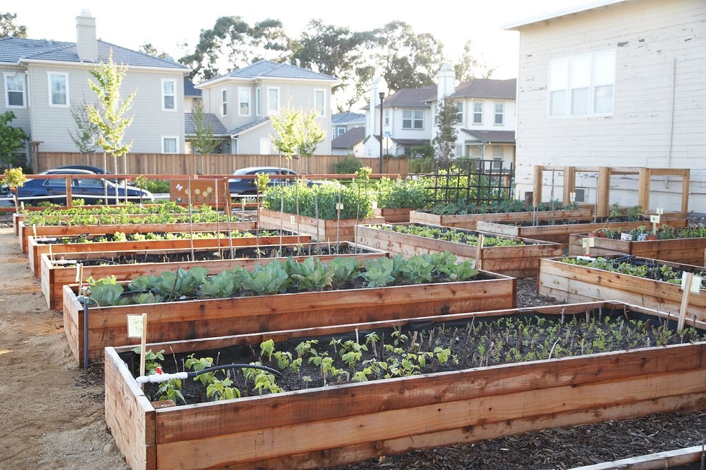 cheap raised garden beds ideas