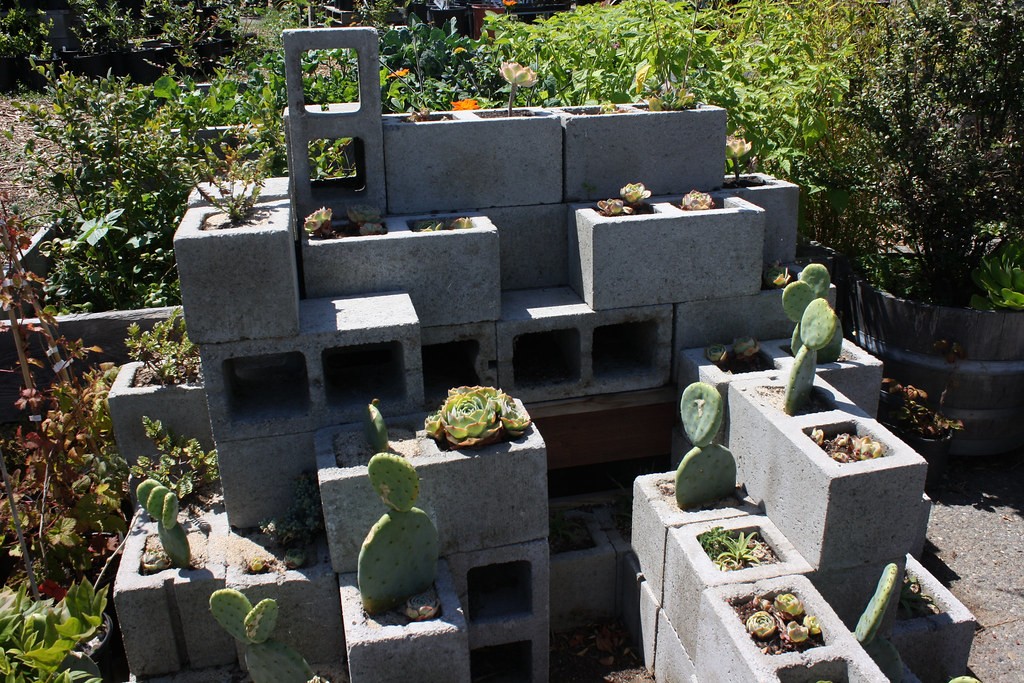 cheap raised garden beds ideas