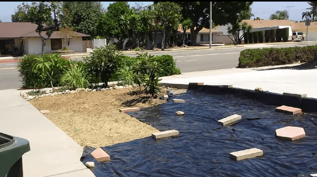 How to Get Rid of Grass Without Digging