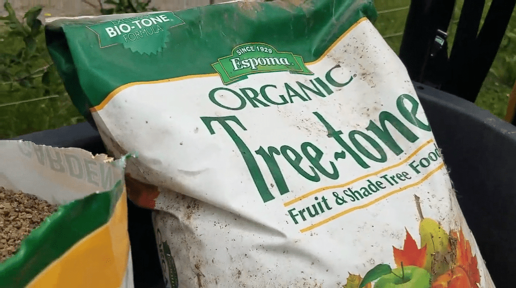 How to Fertilize Apple Trees