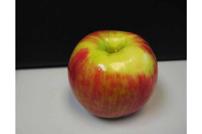 How Many Types of Apples are There