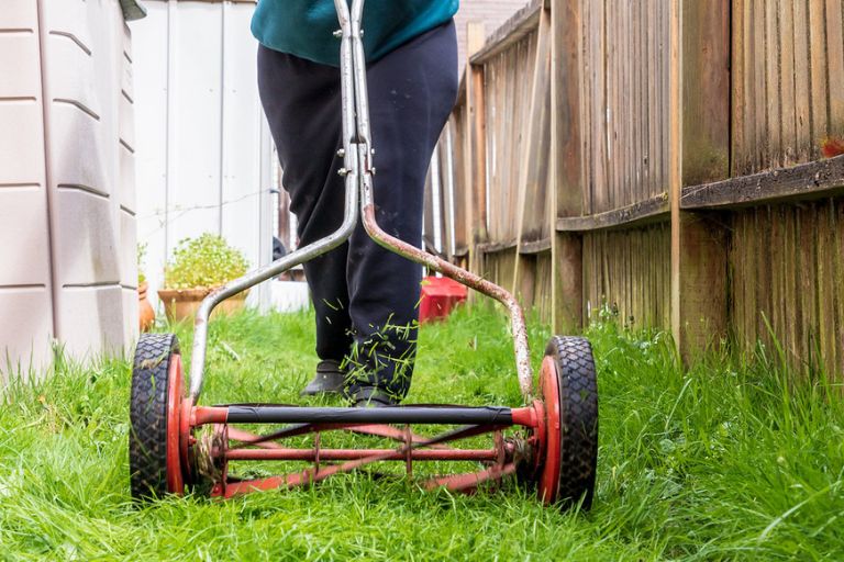 How to Get Rid of Grass Without Digging