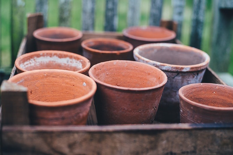 cheap raised garden beds ideas