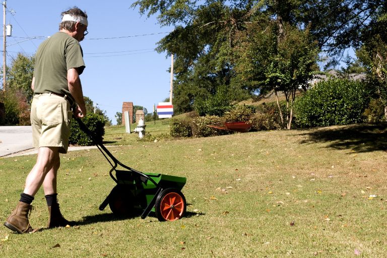 How to Fertilize Apple Trees