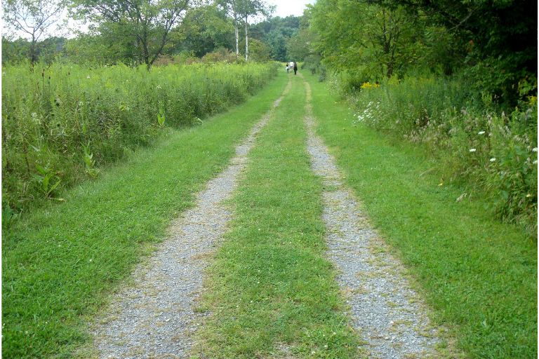 How to Permanently Kill Grass in Gravel Driveway