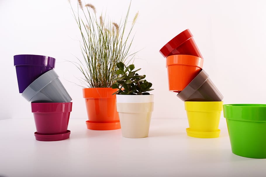 Cheap Plastic Pots for Plants