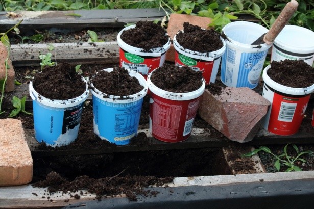 Cheapest Raised Garden Bed