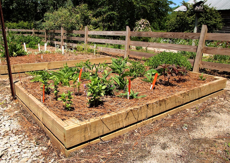 Cheapest Raised Garden Beds