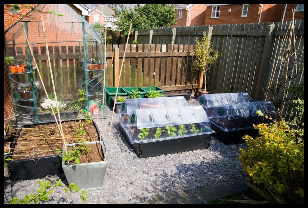 raised garden beds in hot climates