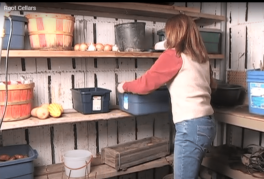 How to Store Apples Without Refrigeration