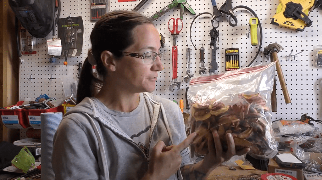 How to Store Dehydrated Apples