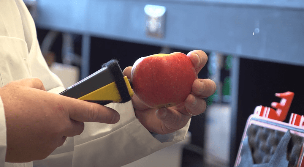 Can You Store Apples In A Root Cellar
