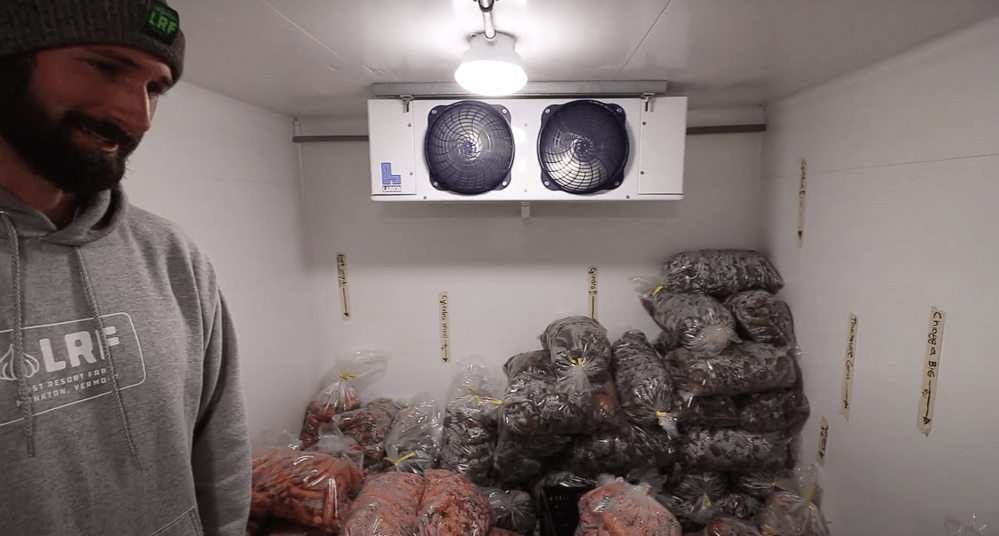 Can You Store Apples In A Root Cellar