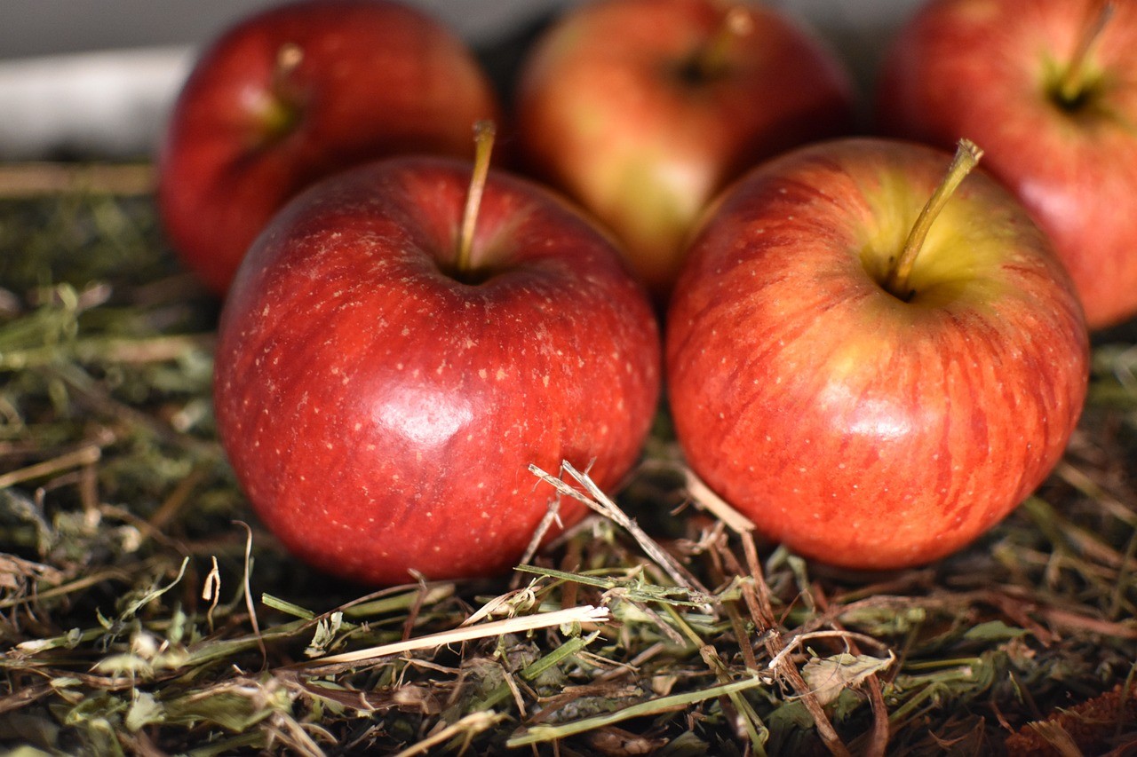 How to Store Apples in a Barrel