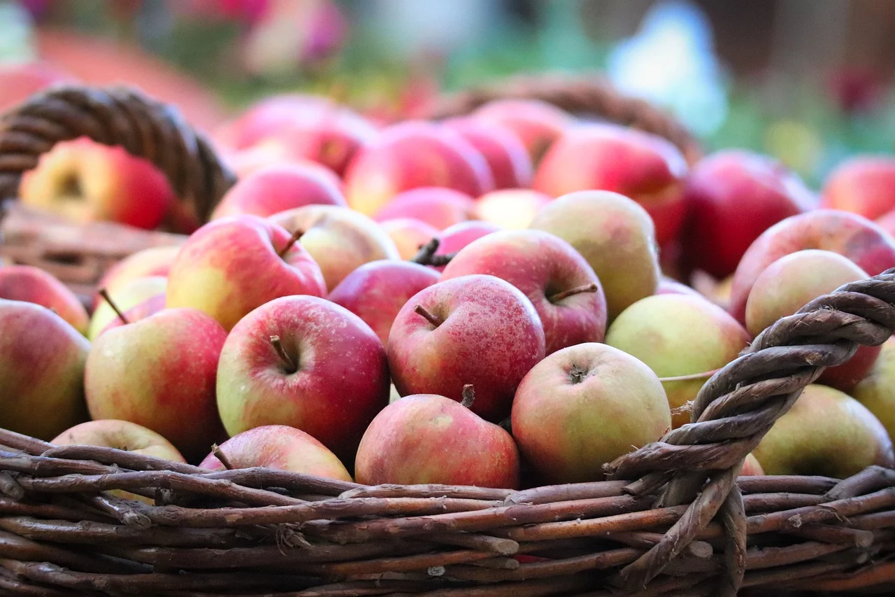 Storing Apples in Sand