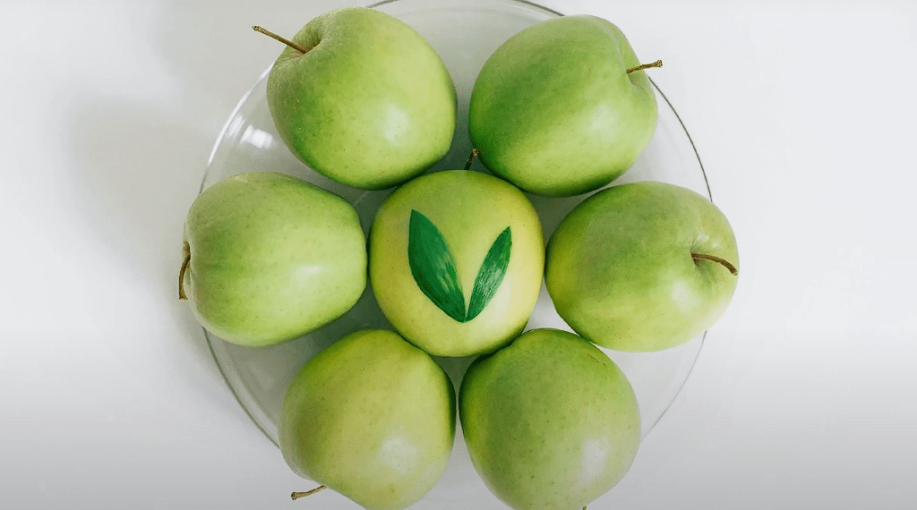 how long are apples good for after picking