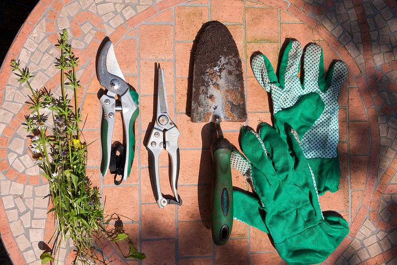 How to Prune Fruit Trees in Winter, when is it too late to prune fruit trees, fruit tree pruning calendar, fruit tree pruning diagram, when to prune fruit trees zone 5, pruning fruit trees in autumn, how to prune fruit trees in winter, when to prune fruit trees in northern California, when to trim fruit trees in California, Winter pruning fruit trees,