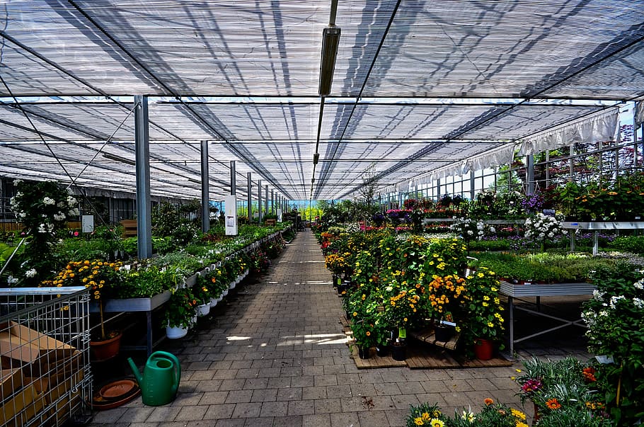 Where To Buy Planting Pots