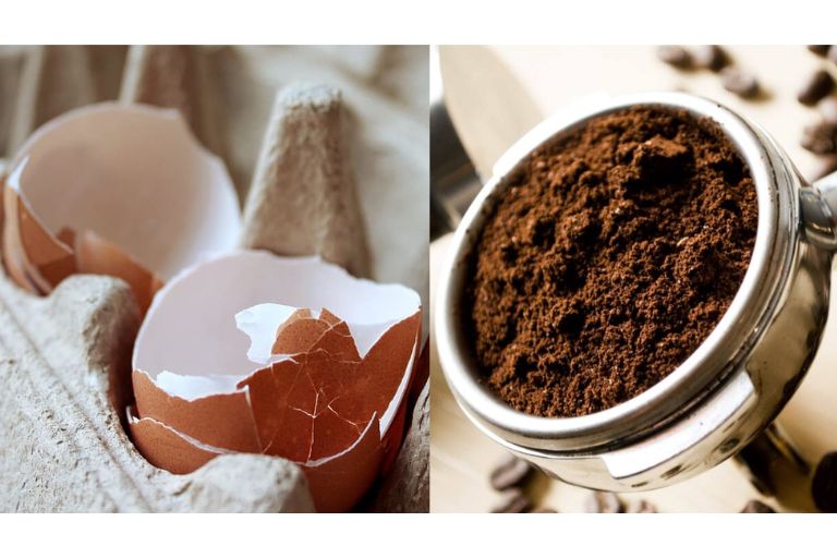 Homemade Fertilizer for Apple Trees