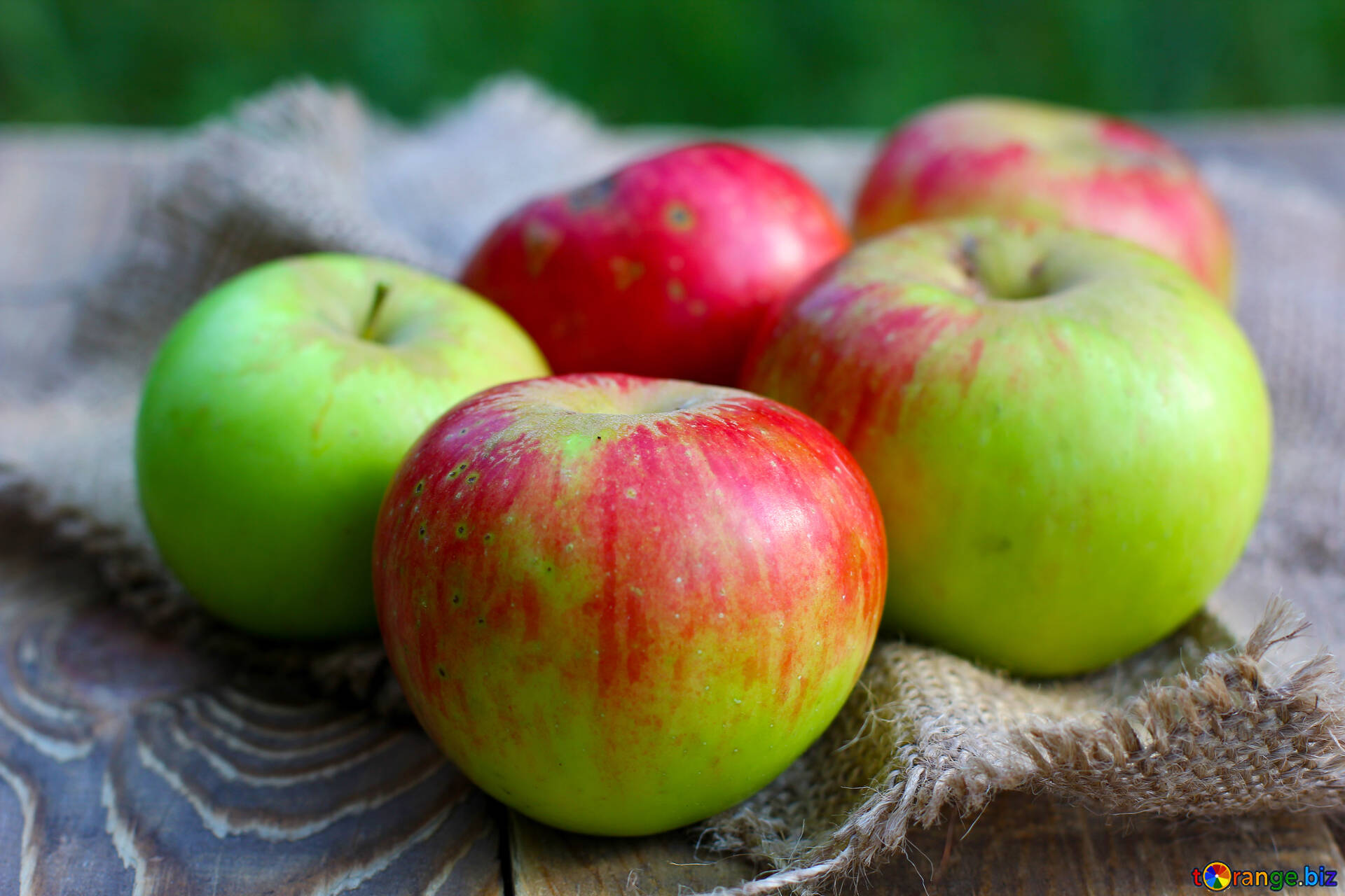 are mcintosh apples good for you
