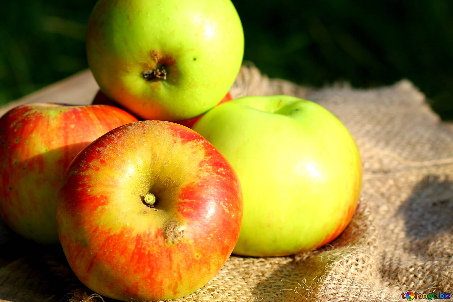 are mcintosh apples good for eating