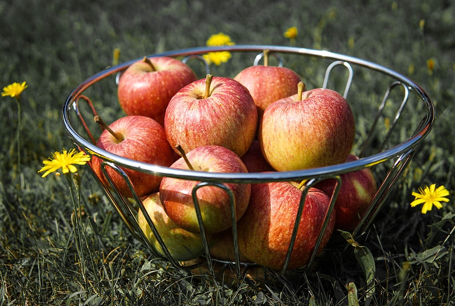 Are Gala Apples Good for Baking