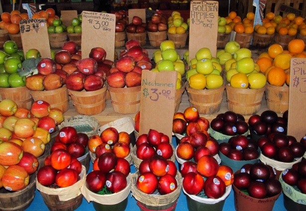 mcintosh apples where to buy